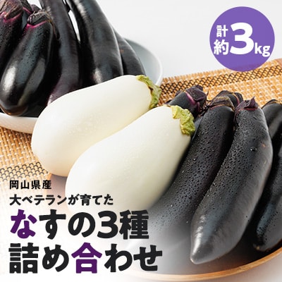 2024年発送 食卓の新しい定番!なす栽培歴50年の大ベテランが育てた”なすの詰め合わせセット”【1433408】岡山県津山市8000野菜・きのこその他 野菜