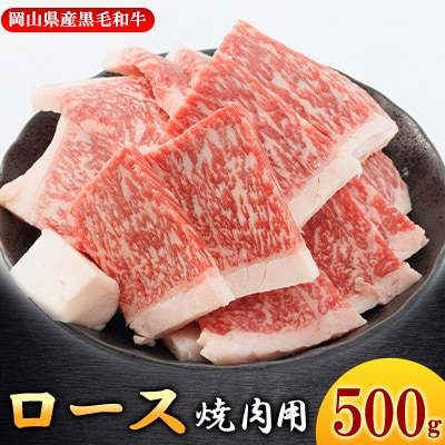 【岡山県産黒毛和牛】ロース 500g (焼肉用)【配送不可地域:離島】【1434330】岡山県津山市17000肉牛肉