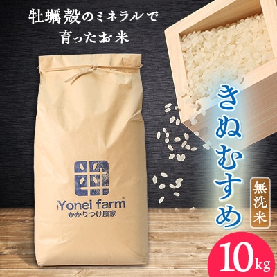 令和5年産 きぬむすめ 10kg【無洗米】牡蠣殻のミネラルで育ったお米【1434426】岡山県津山市17000米・パン無洗米