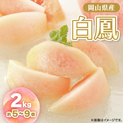 【2026年先行予約】2026年7月中旬頃より発送予定・岡山の白桃・白鳳(2kg箱)【配送不可地域:離島】【1479360】岡山県津山市21000果物・フルーツもも・すもも
