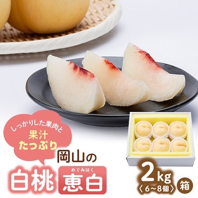 y2025Ns\z2025N9{蔭\ER̔Eb(2kg)yzsnFzy1484605zRÎRs25000ʕEt[cE