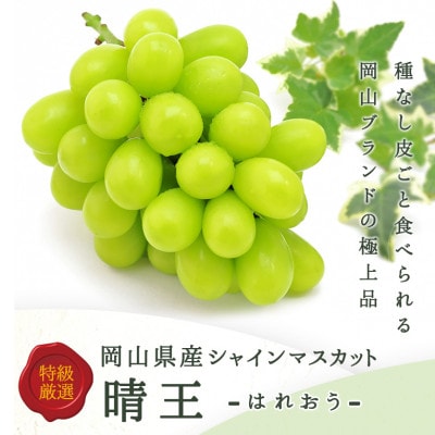 岡山県産 シャインマスカット『晴王』1房(800g以上) 化粧箱入り【配送不可地域:離島・北海道・沖縄】【1499105】岡山県津山市21000果物・フルーツマスカット・ぶどう