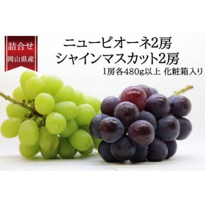 岡山県産詰合/ニューピオーネ2房(1房480g以上)・シャインマスカット晴王2房(1房480g以上)【配送不可地域:離島・北海道・沖縄】【1499106】岡山県津山市26000果物・フルーツマスカット・ぶどう