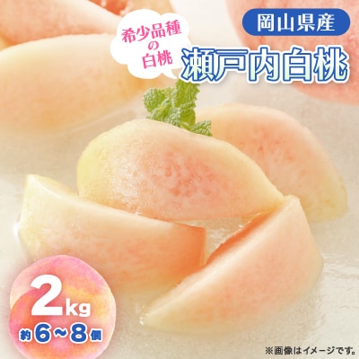 【2025年先行予約】2025年8月下旬頃より発送予定・岡山の白桃・瀬戸内(2kg箱)【配送不可地域:離島】【1536139】岡山県津山市25000果物・フルーツもも・すもも