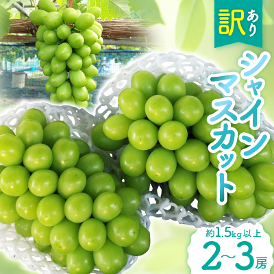 VC}XJbgy󂠂z2`3[1.5kgȏyzsnFzy1538682zRÎRs16000ʕEt[c}XJbgEԂǂ