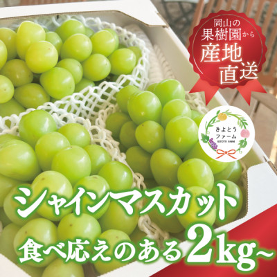 【きよとうファーム】シャインマスカット3-5房/計2kg~(岡山県産)【配送不可地域:離島】【1548980】岡山県津山市20000果物・フルーツマスカット・ぶどう