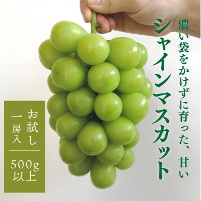 yƂt@[zVC}XJbg 1[ /500gȏ@(RY)yzsnFzy1548988zRÎRs10000ʕEt[c}XJbgEԂǂ