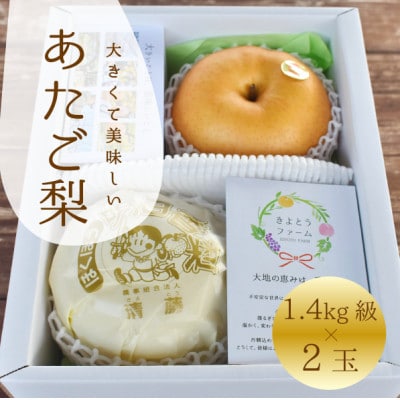 【きよとうファーム】あたご梨 上級品 2玉入(1.4kg級/玉)(岡山県産)【1559967】岡山県津山市19000果物・フルーツりんご・梨
