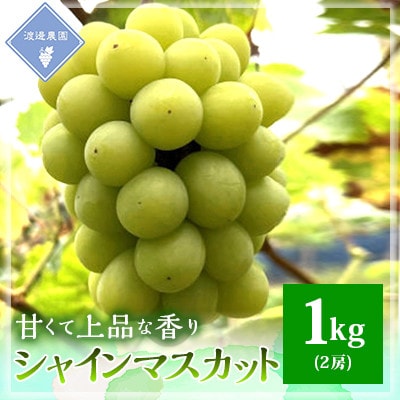 【先行予約 2025年発送】岡山県産 シャインマスカット 2房(合計1kg)【配送不可地域:離島】【1562241】岡山県津山市14000果物・フルーツマスカット・ぶどう