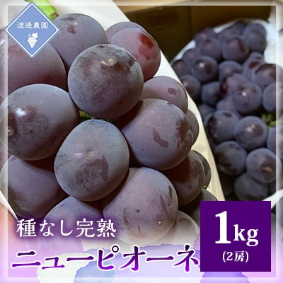【先行予約 2025年発送】岡山県産 種なし完熟 ニューピオーネ 2房(1kg)【配送不可地域:離島】【1562272】岡山県津山市15000果物・フルーツマスカット・ぶどう