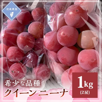 【先行予約 2025年発送】岡山県産 クイーンニーナ 2房 合計約1kg【配送不可地域:離島】【1562286】岡山県津山市14000果物・フルーツマスカット・ぶどう