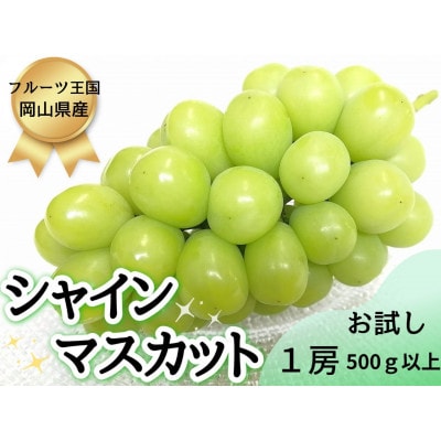 【2026年先行受付】お試しフルーツ王国岡山シャインマスカット500g以上! 朝採れぶどう1房【配送不可地域:離島】【1566944】岡山県津山市7000果物・フルーツマスカット・ぶどう