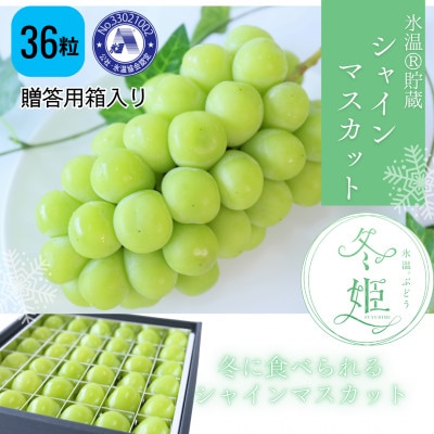 y11-3zX}XJbg~P(36)yzsnFzy1569600zRÎRs18000ʕEt[c}XJbgEԂǂ