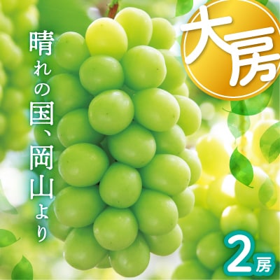 岡山県産シャインマスカット大房【2025年9月末以降順次発送】【配送不可地域:離島】【1583563】岡山県津山市27000果物・フルーツマスカット・ぶどう