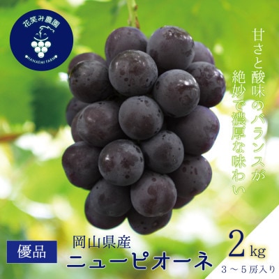 【2026年先行受付】岡山 花笑み農園の『ニューピオーネ』2kg(3〜5房)優品 P-2優【配送不可地域:離島・北海道・沖縄】【1593495】岡山県津山市17000果物・フルーツマスカット・ぶどう