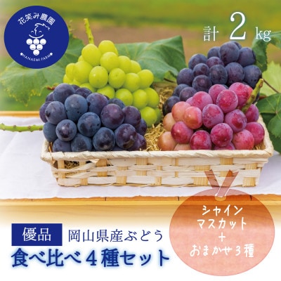 【2026年先行受付】花笑み農園のブドウ『食べ比べ4種』シャイン入り2kg(4房)優品4M-2優【配送不可地域:離島・北海道・沖縄】【1593520】岡山県津山市20000果物・フルーツマスカット・ぶどう