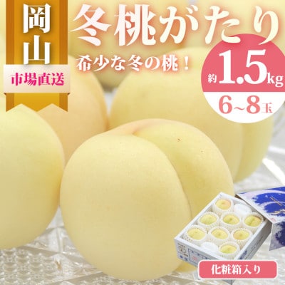 冬桃がたり 6〜8玉(約1.5kg) 化粧箱入り【配送不可地域:離島・北海道・沖縄】【1595624】岡山県津山市35000果物・フルーツもも・すもも