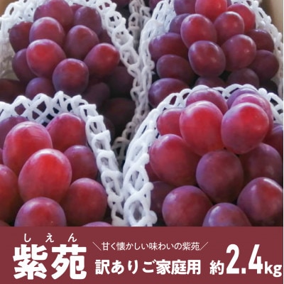 yƂt@[z󂠂育ƒp 킢̕u()v/2.4kg(RY)yzsnFzy1602179zRÎRs17000ʕEt[c}XJbgEԂǂ