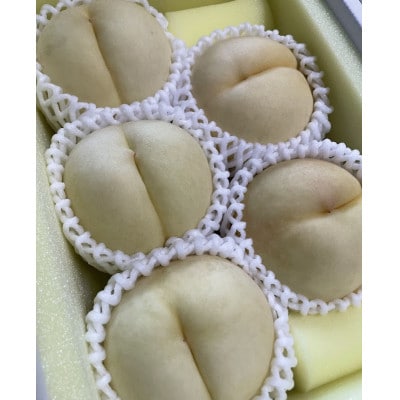 y2025N9{菇\z肵ʓƉʏ`Ղ̉R̔Eb(1.5kg)yzsnFzy1604638zRÎRs18000ʕEt[cE