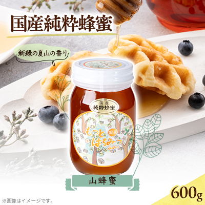 津山市産 山蜂蜜 600g【1605221】岡山県津山市11000鍋セット・総菜・加工食品ジャム・はちみつ