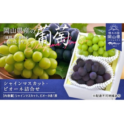 【2026年発送】シャインマスカット・ピオーネ詰合せ (各1房・合計約1.0kg)【配送不可地域:離島】【1614037】岡山県津山市21000果物・フルーツマスカット・ぶどう