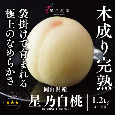 先行受付【星乃白桃】岡山県の桃園からお届けする三つ星の桃 1.2kg (4〜5玉)【配送不可地域:離島・北海道・沖縄】【1614276】岡山県津山市13000果物・フルーツもも・すもも