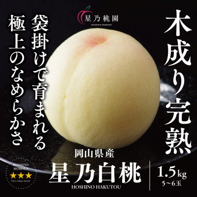先行受付【星乃白桃】岡山県の桃園からお届けする三つ星の桃 1.5kg(5〜6玉)【配送不可地域:離島・北海道・沖縄】【1614279】岡山県津山市16000果物・フルーツもも・すもも