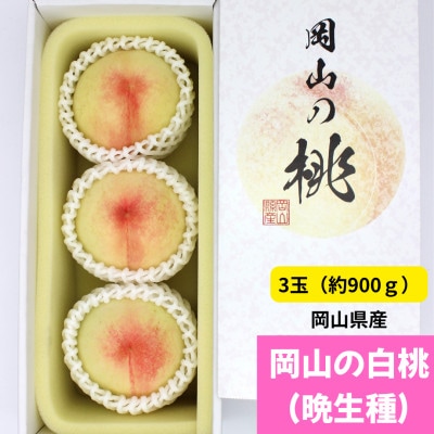 ystzR̔(Ӑ)@3(900g)yzsnFzy1614303zRÎRs16000ʕEt[cE