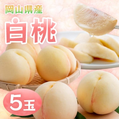 【2026年発送】岡山県産白桃 5玉・約1.3kg(クール便)【配送不可地域:離島】【1614347】岡山県津山市21000果物・フルーツもも・すもも
