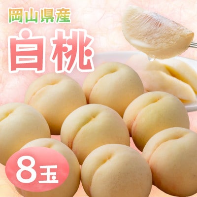 【2026年発送】岡山県産白桃 8玉・約2.0kg(クール便)【配送不可地域:離島】【1614349】岡山県津山市32000果物・フルーツもも・すもも