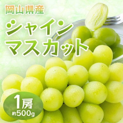 y2026NzRYVC}XJbg@1[E500g(N[)yzsnFzy1614353zRÎRs13000ʕEt[c}XJbgEԂǂ