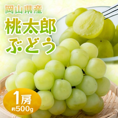 y2026NzRYYԂǂ@1[E500g(N[)yzsnFzy1614358zRÎRs13000ʕEt[c}XJbgEԂǂ