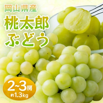 岡山県産桃太郎ぶどう 2〜3房・約1.3kg(クール便)【配送不可地域:離島】【1614361】岡山県津山市24000果物・フルーツマスカット・ぶどう