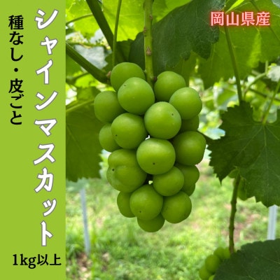 y2025NstzR̂Ԃǂ(VC}XJbg)1kgȏ(2[)yzsnFzy1617999zRÎRs16000ʕEt[c}XJbgEԂǂ