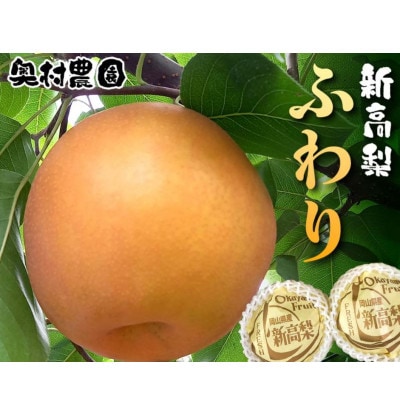 《2025年9月中旬より順次発送》新高梨 ふわり(5玉入り)【配送不可地域:離島】【1619638】岡山県津山市16000果物・フルーツりんご・梨