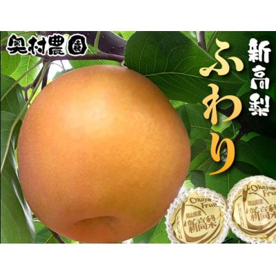 s2025N9{菇t V ӂ(6ʓ)yzsnFzy1619639zRÎRs16000ʕEt[c񂲁E