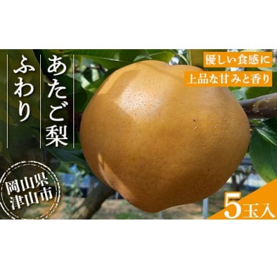 2025年11月下旬より順次発送予定 あたご梨 ふわり(5玉入り)【1626522】岡山県津山市19000果物・フルーツりんご・梨