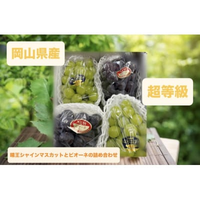 ピオーネ2房とシャイン2房 2kg箱【配送不可地域:離島・北海道・沖縄・東北・関東・信越、北陸】【1644112】岡山県津山市26000果物・フルーツマスカット・ぶどう