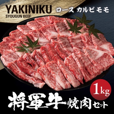 【将軍牛】特選焼肉セット ロース カルビ もも 3種類 1kg【配送不可地域:離島・北海道・沖縄】【1652120】岡山県津山市22000肉牛肉