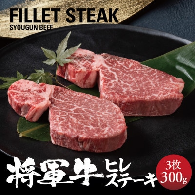 【将軍牛】特選ヒレステーキ 300g【配送不可地域:離島・北海道・沖縄】【1653413】岡山県津山市20000肉牛肉