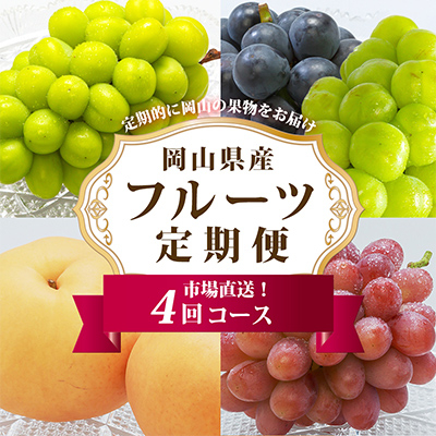 【発送月固定定期便】岡山県産 フルーツ定期便全4回【配送不可地域:離島・北海道・沖縄】【4000244】岡山県津山市71000果物・フルーツマスカット・ぶどう