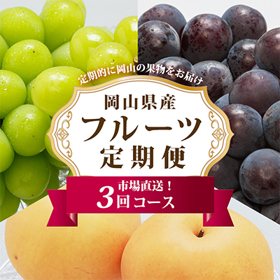 【発送月固定定期便】A 岡山県産 シャインマスカット(晴王)・あたご梨ほか全3回【配送不可地域:離島・北海道・沖縄】【4000246】岡山県津山市52000果物・フルーツマスカット・ぶどう