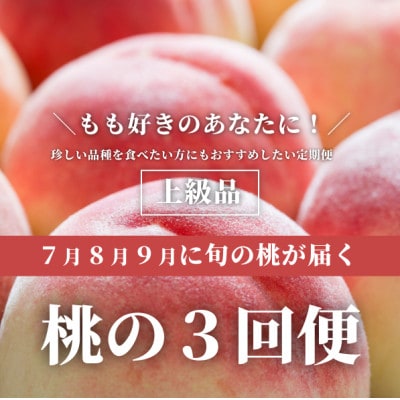 【発送月固定定期便】桃好きの為の、桃3回便!(上級品5-7玉入)(岡山県産)全3回【配送不可地域:離島】【4061981】岡山県津山市45000果物・フルーツもも・すもも