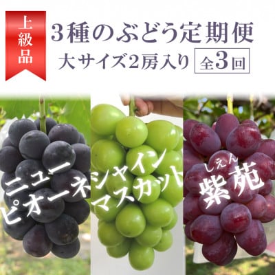 yŒցz[̕3ނ͂!Dׂ̈3!(RY)S3yzsnFzy4061984zRÎRs46000ʕEt[c}XJbgEԂǂ