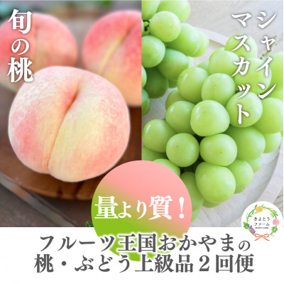 【発送月固定定期便】桃とシャインマスカット どっちも食べたい便(岡山県産)全2回【配送不可地域:離島・北海道・沖縄】【4063160】岡山県津山市34000果物・フルーツもも・すもも