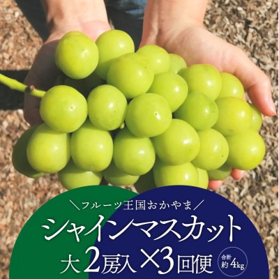 【発送月固定定期便】【きよとうファーム】シャインマスカットを楽しむ満足便!/全便計3.9kg〜全3回【配送不可地域:離島】【4065362】岡山県津山市54000果物・フルーツマスカット・ぶどう