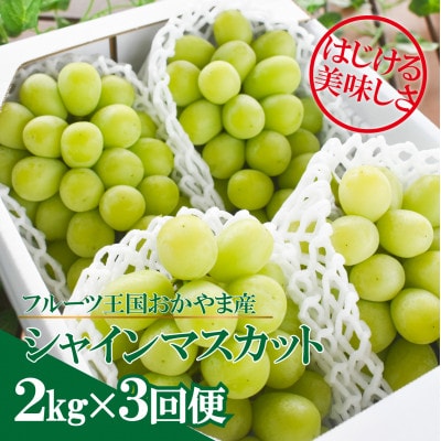 yŒցzyƂt@[zVC}XJbgyޖ!/S֌v6.0kg`S3yzsnFzy4065364zRÎRs61000ʕEt[c}XJbgEԂǂ