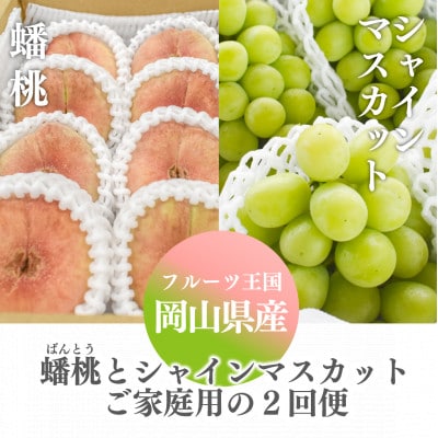 yŒցzyƂt@[z崓ƃVC}XJbĝƒpRYnS2yzsnFEkCEzy4065821zRÎRs33000ʕEt[