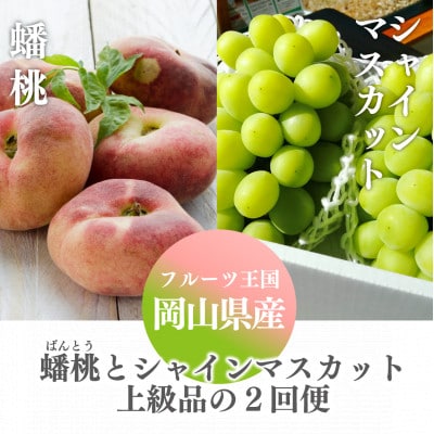 【発送月固定定期便】【きよとうファーム】蟠桃とシャインマスカットの上級品を岡山から産地直送全2回【配送不可地域:離島・北海道・沖縄】【4065825】岡山県津山市36000果物・フルーツ