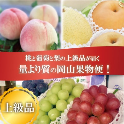 【発送月固定定期便】【きよとうファーム】岡山の桃、ぶどう、梨を産地直送!多品種を楽しむ定期便全3回【配送不可地域:離島・北海道・沖縄】【4066247】岡山県津山市51000果物・フルーツ